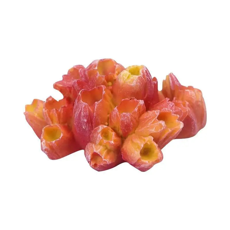 Aquarium Coral Ornament Set