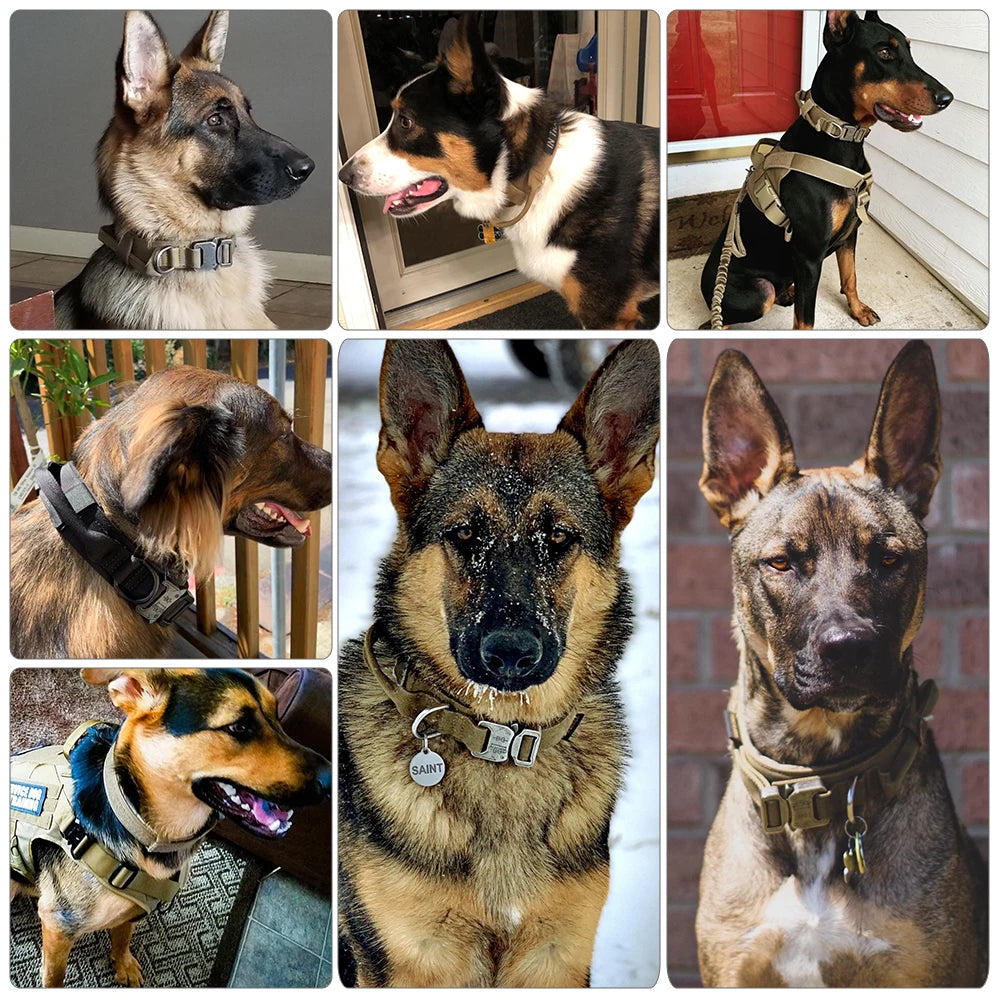 Training Tactical Dog Collar And Leash Set