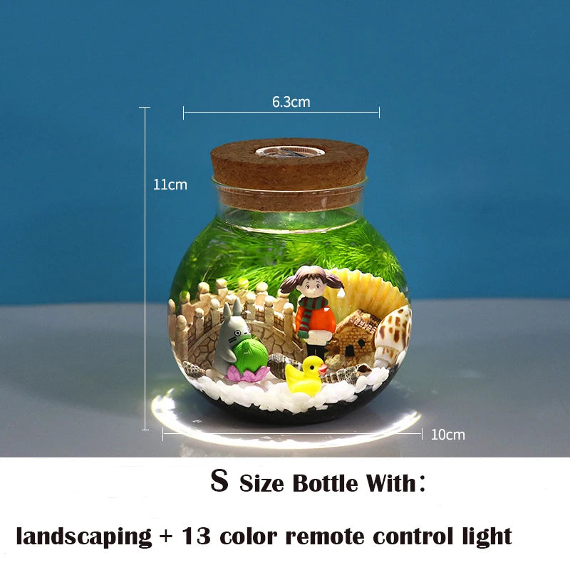 Portable Ecological Micro Landscape Bottle  Aquarium Landscape Bucket Fish Tank Office Desktop Glass Ecological Bottle Fish Tank