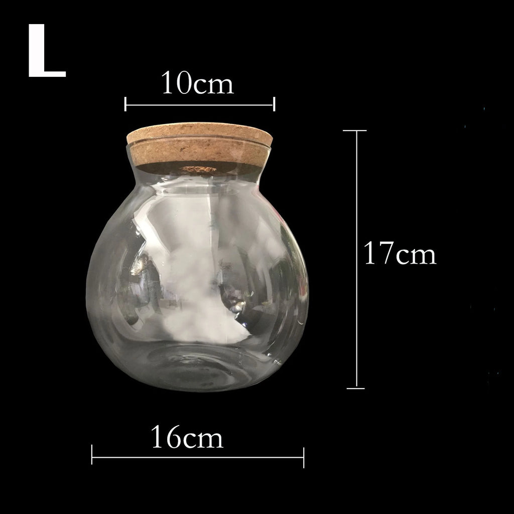 Portable Ecological Micro Landscape Bottle  Aquarium Landscape Bucket Fish Tank Office Desktop Glass Ecological Bottle Fish Tank