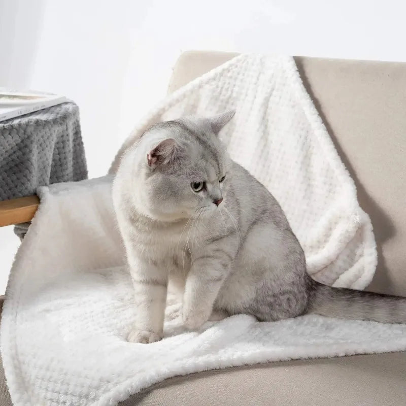 Soft Plush Washable Dog Sleeping Blanket