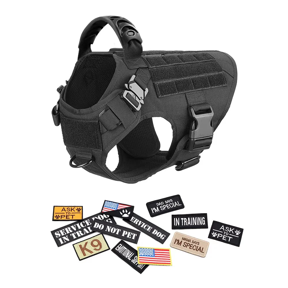 Large M Tactical Military-Like Dog Harness, Collar, Leash, Bags, Patches Set