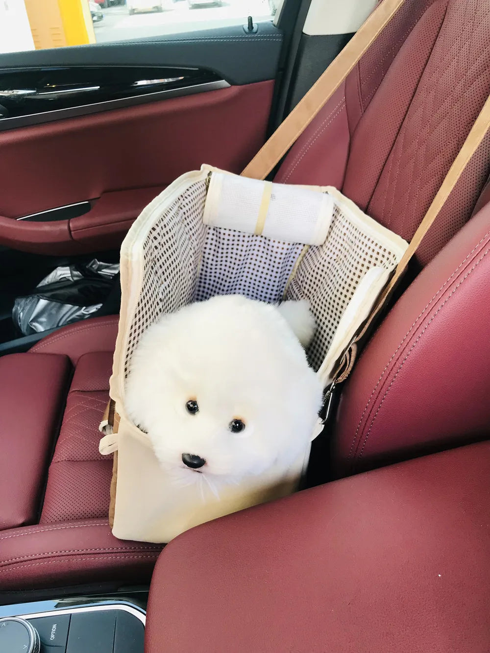 Portable Dog Cat Carrier and Outdoor Travel Bag