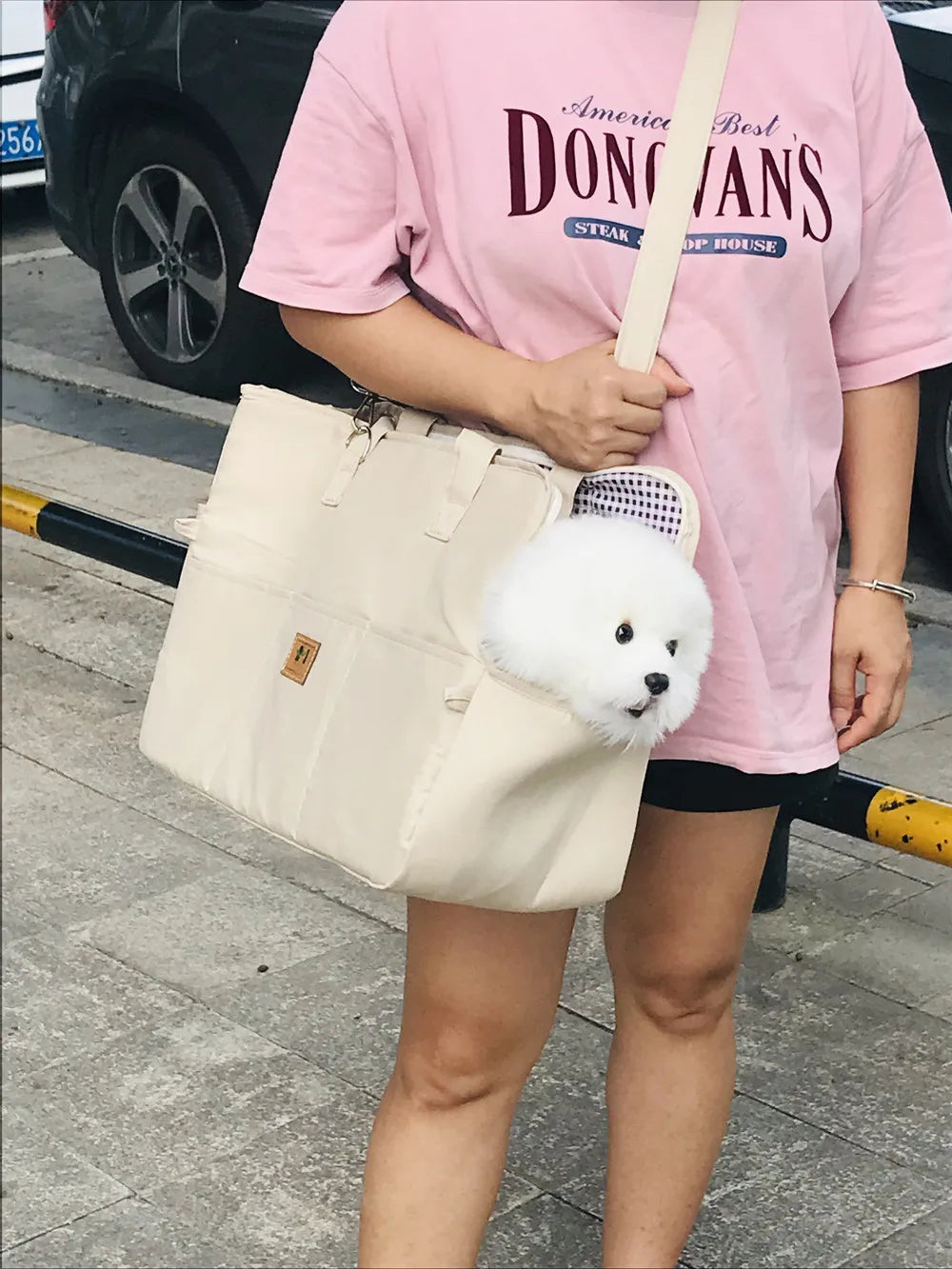 Portable Dog Cat Carrier and Outdoor Travel Bag