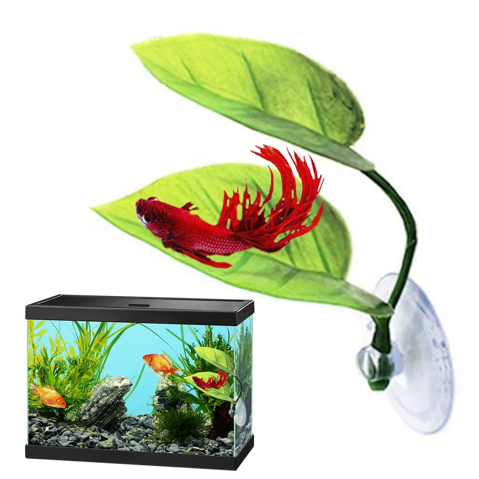 Betta Fish Leaf Pad