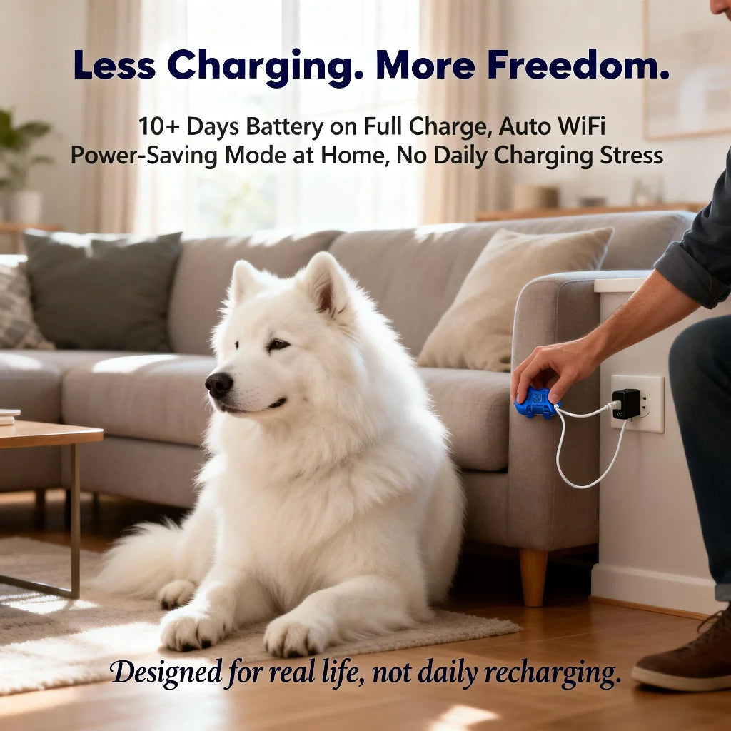 GPS Pet Tracker for Dogs, Cats. Real Time Tracking