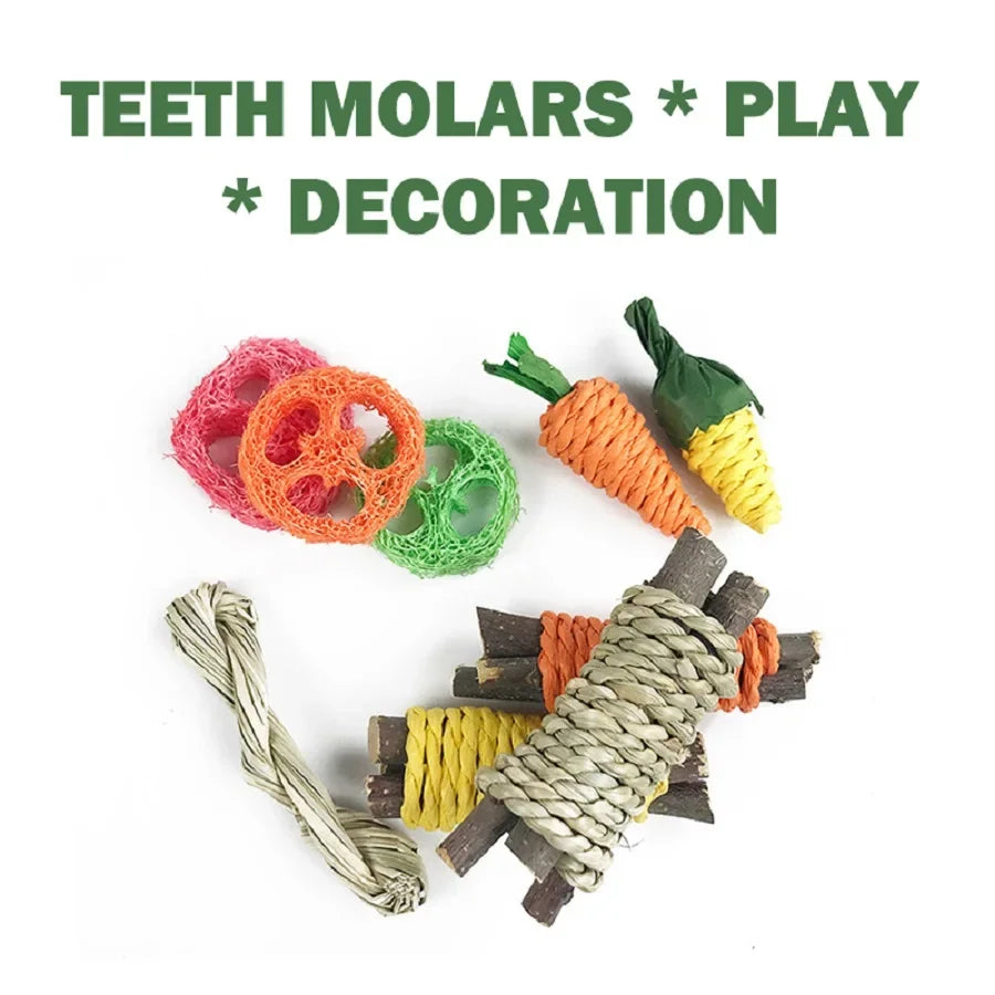 Small Animal Tooth Grinding Snacks