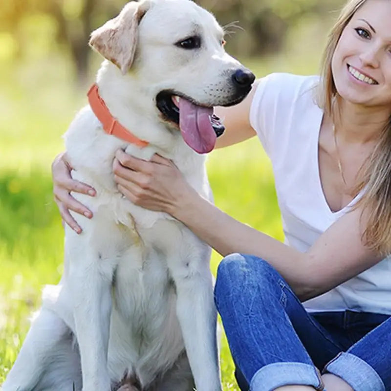 Pet Calming Collar For Cats, Dogs