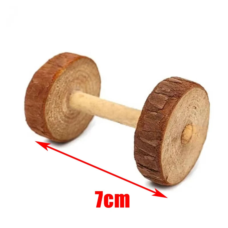 Small Animal Play Toys