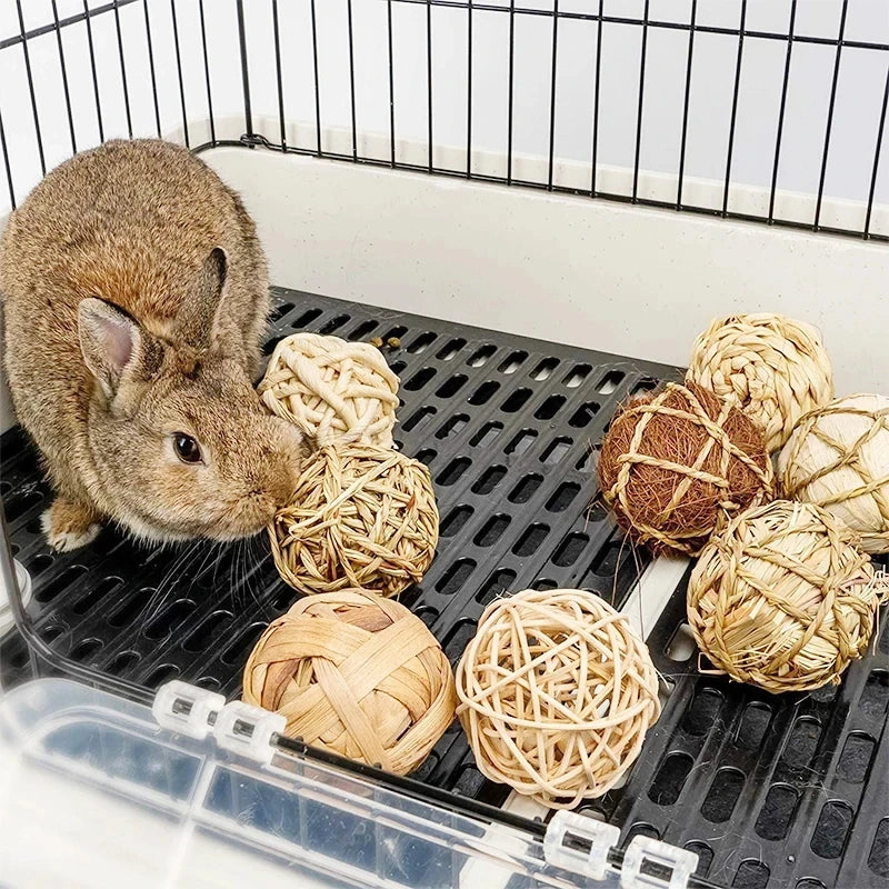 Small Animal Play Toys