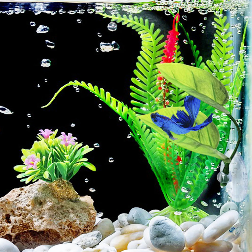 Betta Fish Leaf Pad