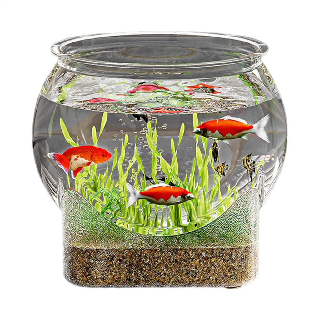 Clear Round Aquarium/Terrarium Container