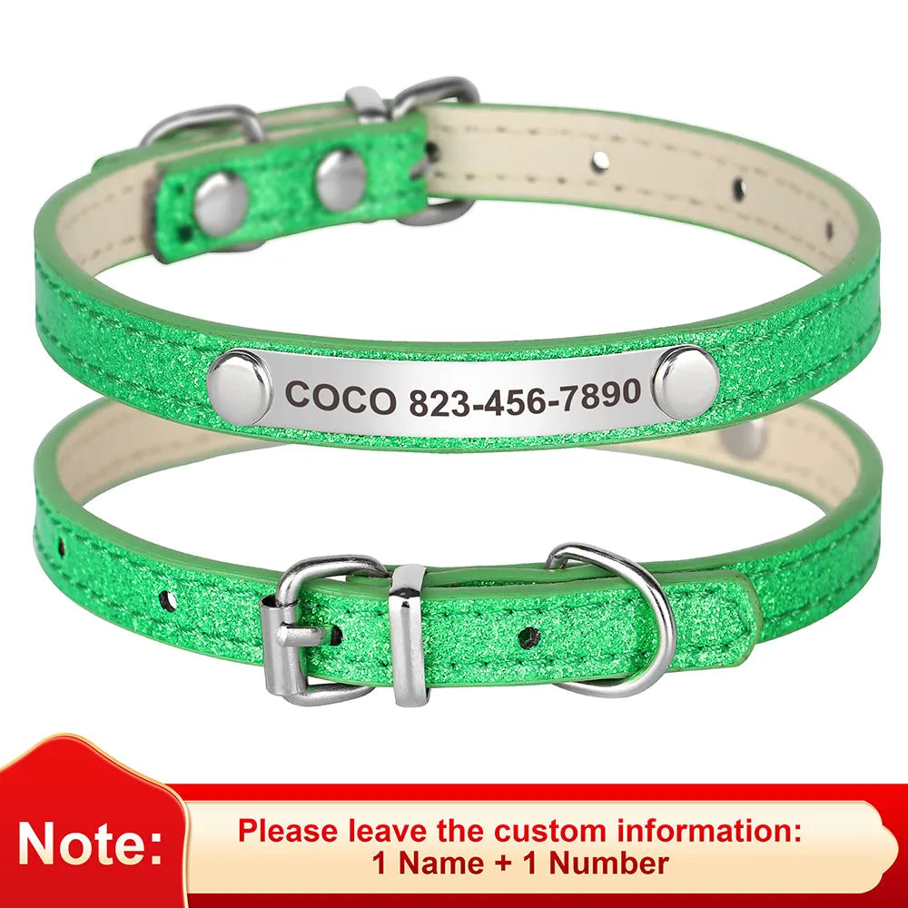 Custom Pet Collar With Engraved ID Nameplate