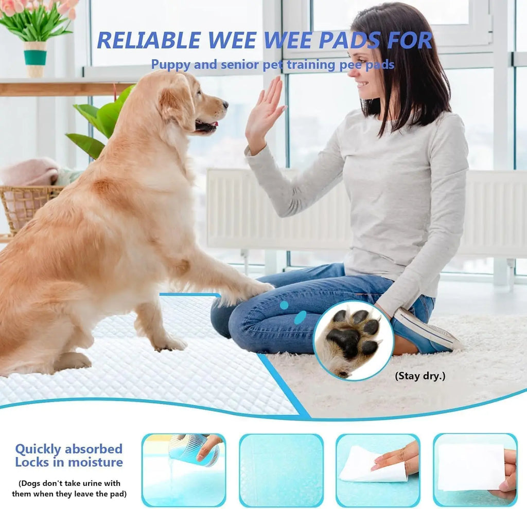Leak-Proof Super Absorbent Disposable Training Pads Pads 31x47 100 Count (XXXL)