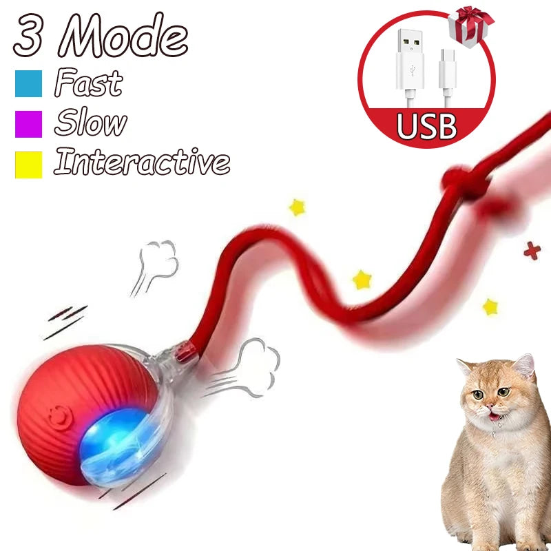 2Pcs Cat Interactive Automatic Rolling Ball w/ Tail, Rechargeable