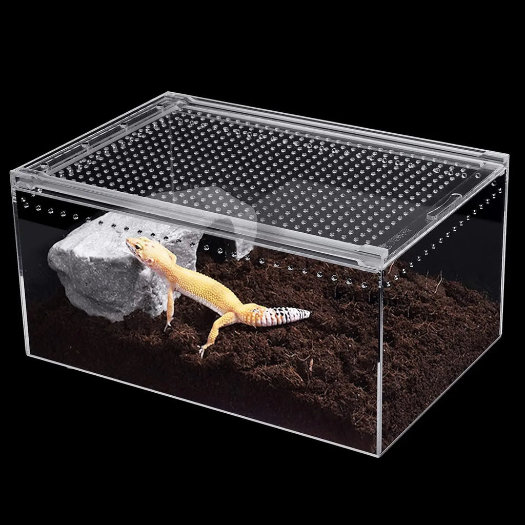 Magnetic Clear Acrylic Large Enclosure 2.5 Gallon Terrarium Cage