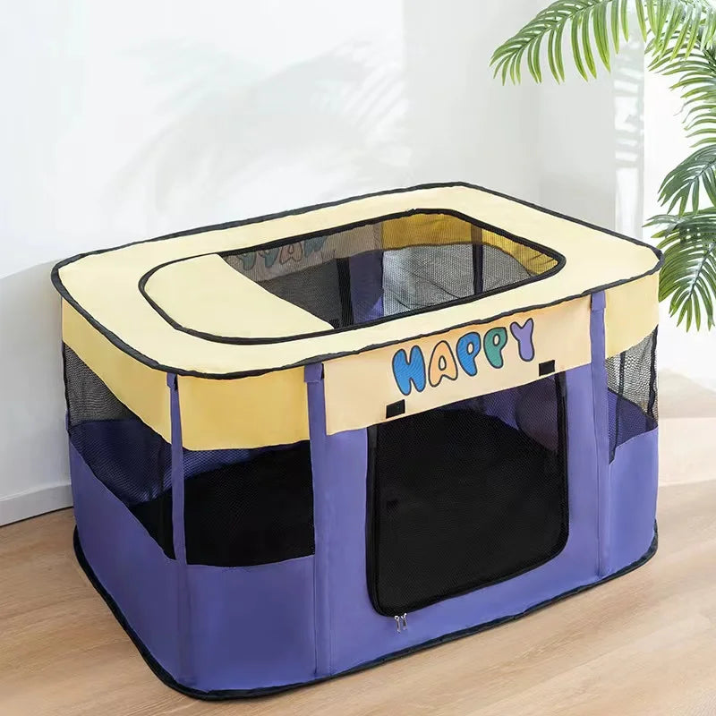 Cat Delivery Room - House