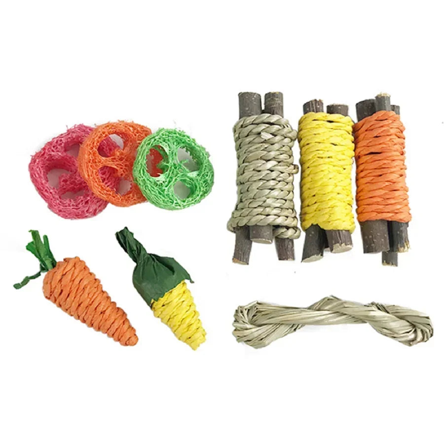 Pet Tooth Grinding Set