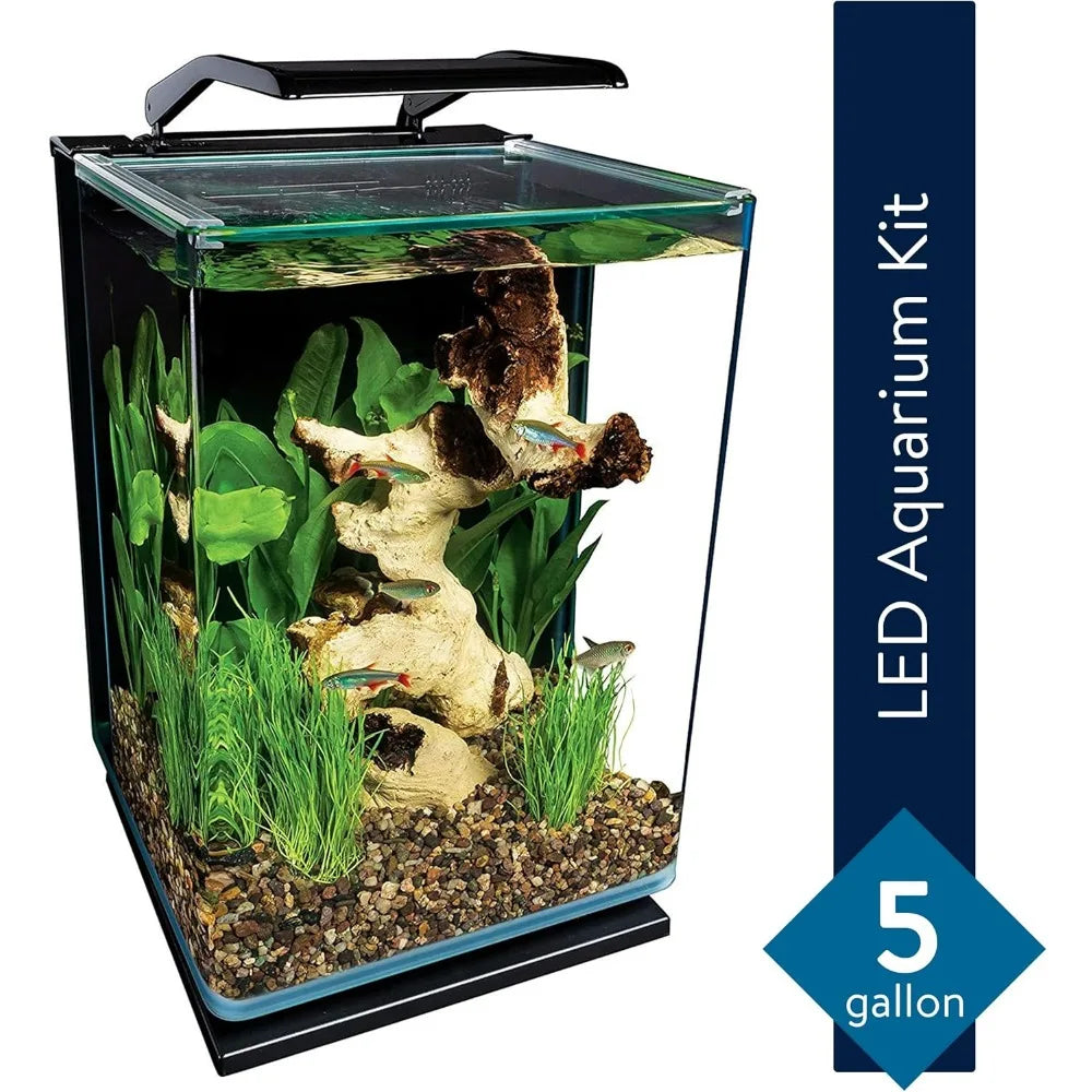 5 gallon black led-illuminated glass aquarium with stealth filtration system