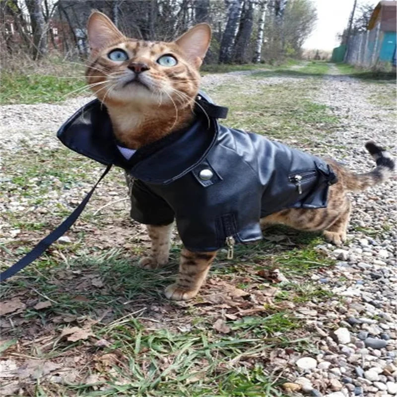 Eagle Pattern PU Leather Dog Jacket