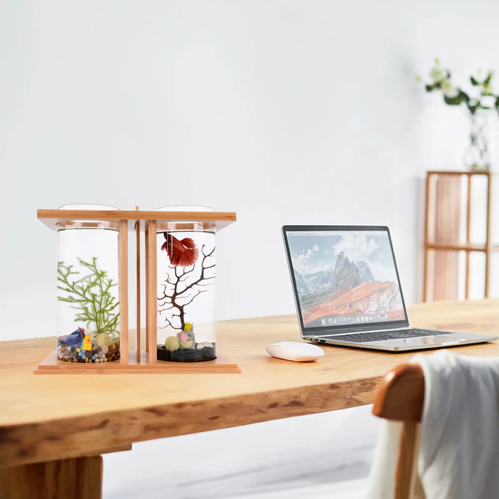 Aquarium Set with LED Light for Desktop Home Office Decoration 2 Tanks