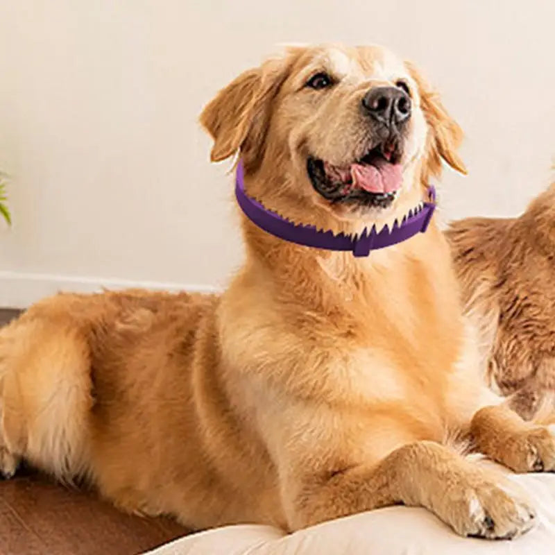 Pet Calming Collar For Cats, Dogs