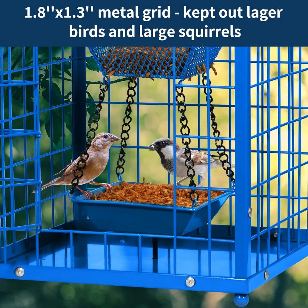 Squirrel-Proof Caged Bird Feeder with 2 Cups