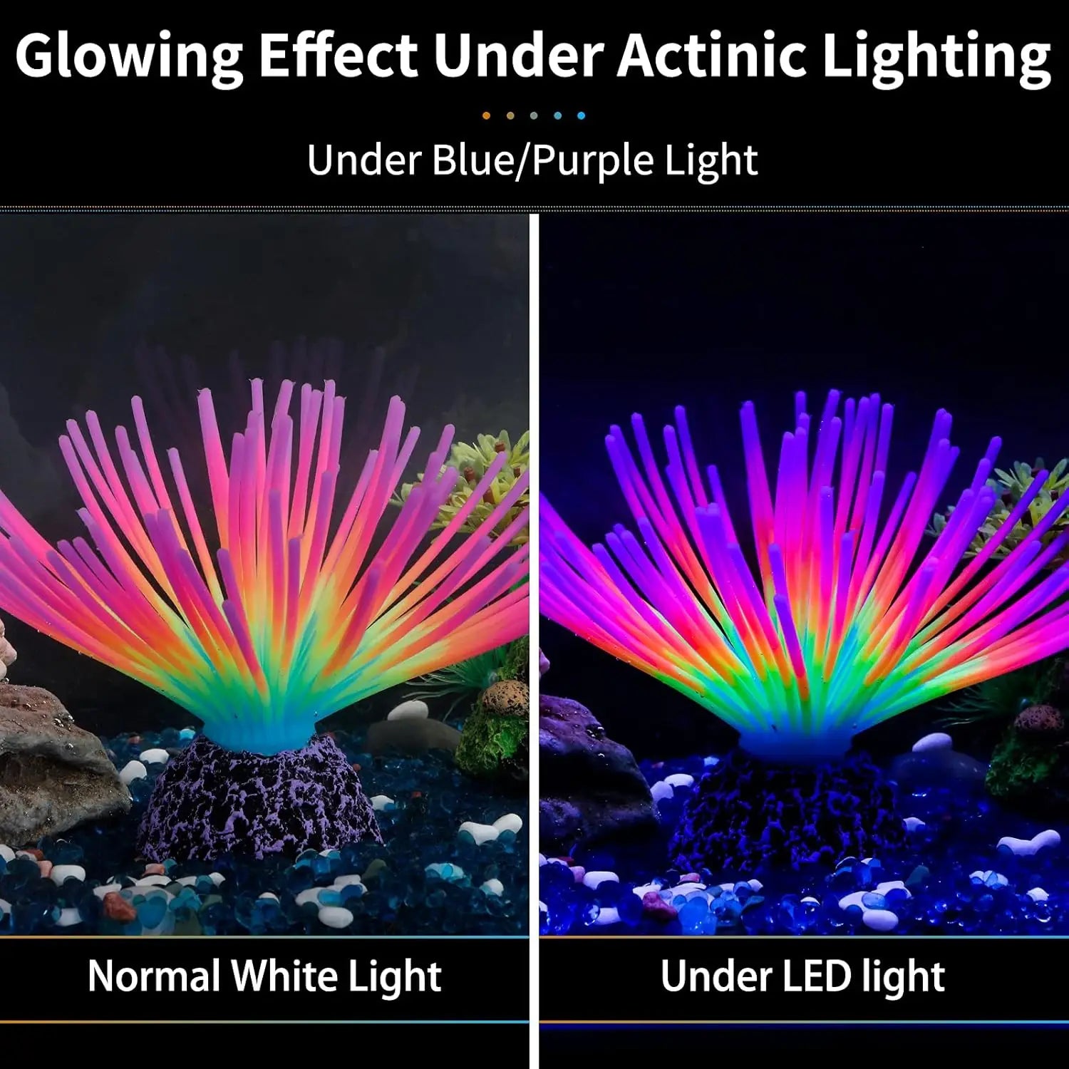 Aquarium Imitative Rainbow Sea Urchin Ball