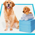 Super Absorbent Premium Disposable Dog Training Pads