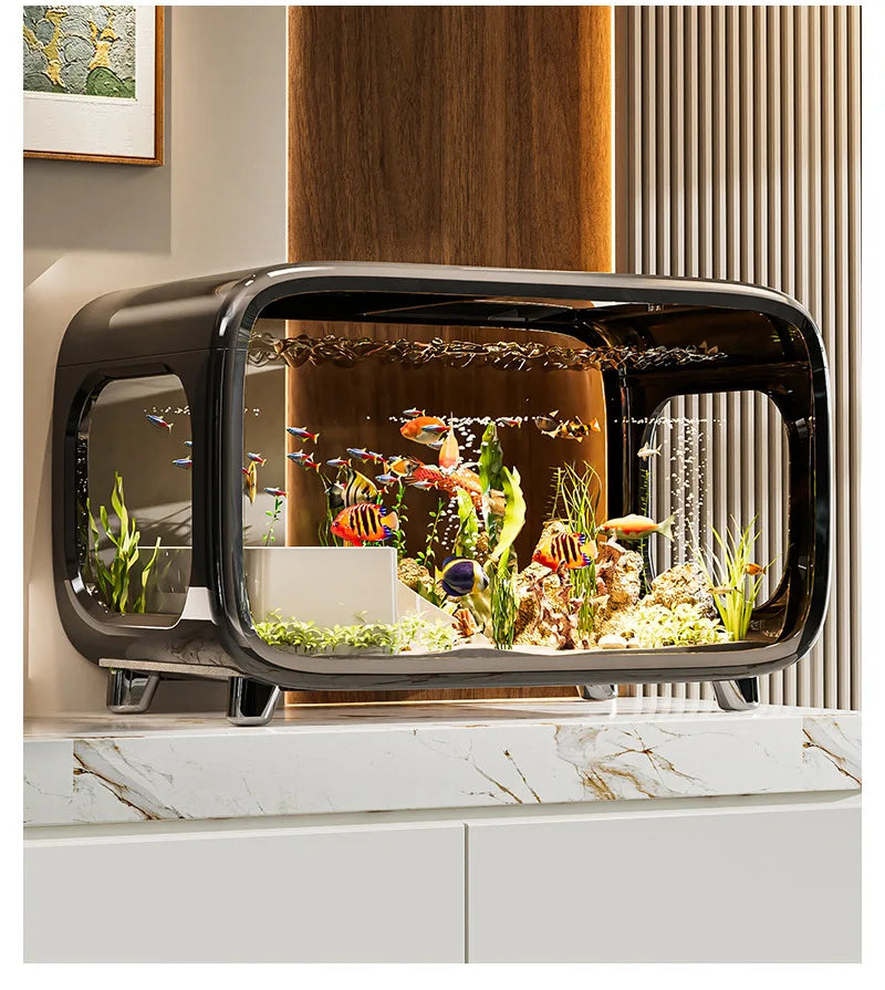 Creative transparent fish tank