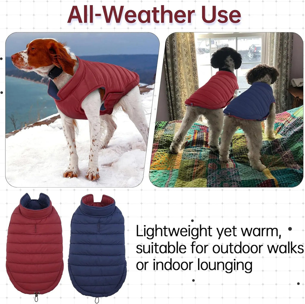 Outdoor Cold Proof  Dog Jacket with Fleece Cotton Lining