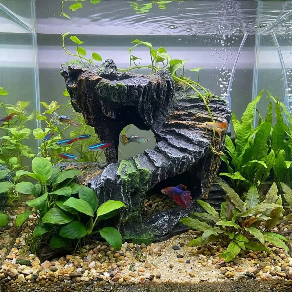 Sturdy Non-Toxic Resin Turtle Basking Platform