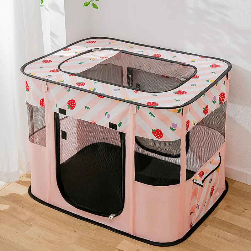 Cat Delivery Room - House