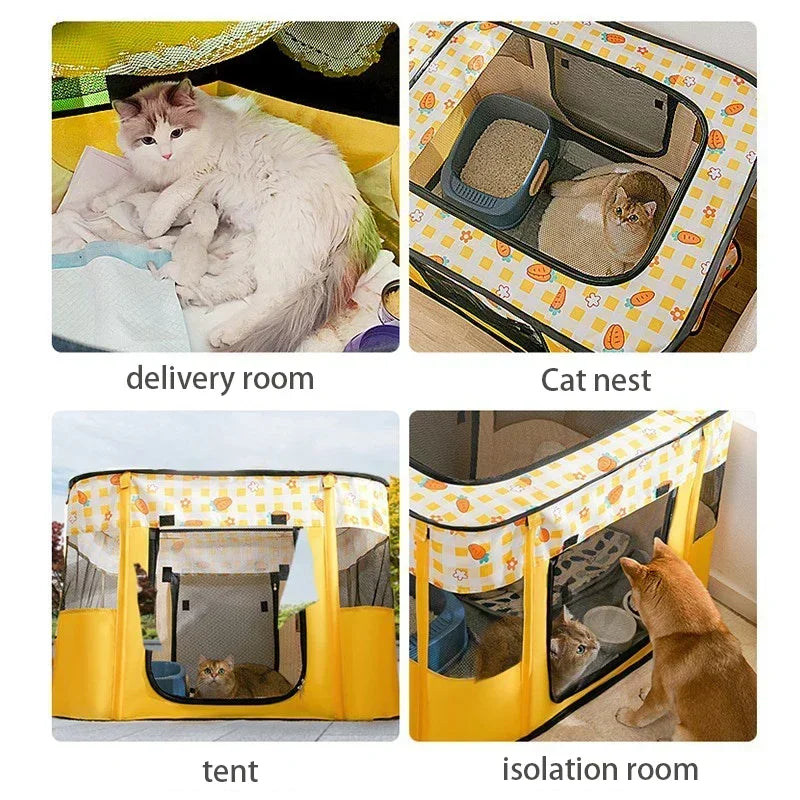Cat Delivery Room - House