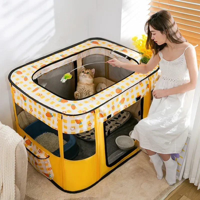 Cat Delivery Room - House