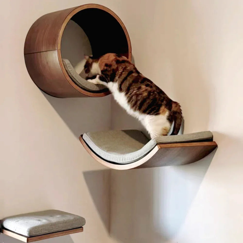 Wall Mounted Shelf Bed with Soft Cushion