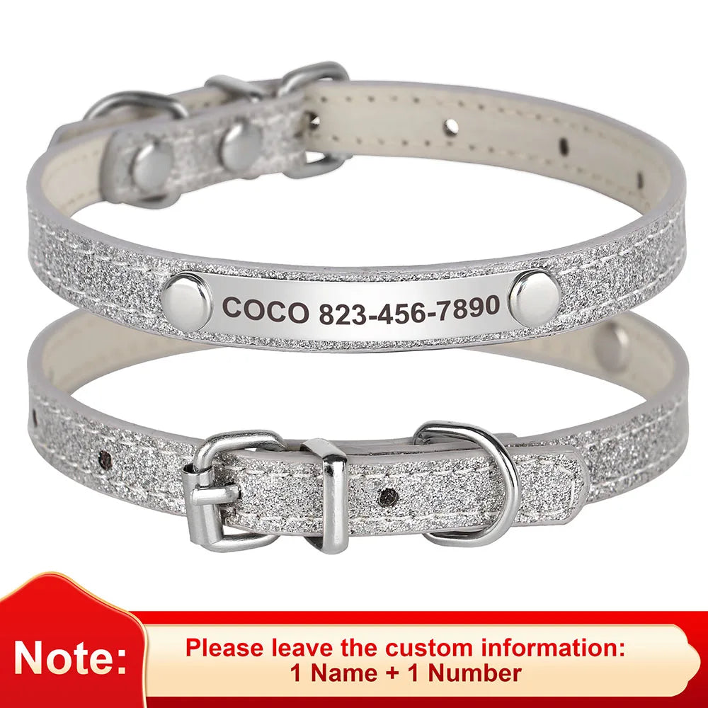 Custom Pet Collar With Engraved ID Nameplate