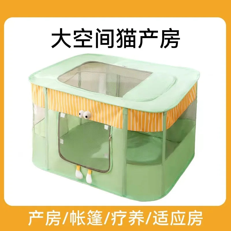 Cat Delivery Room - House