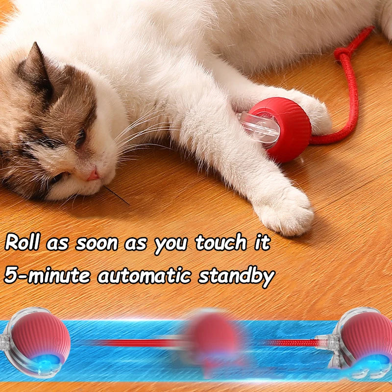 2Pcs Cat Interactive Automatic Rolling Ball w/ Tail, Rechargeable