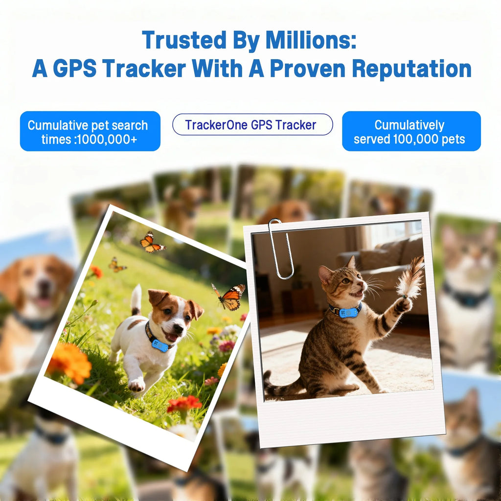 Pet Anti-Lost GPS Tracker Dog or Cat Collar
