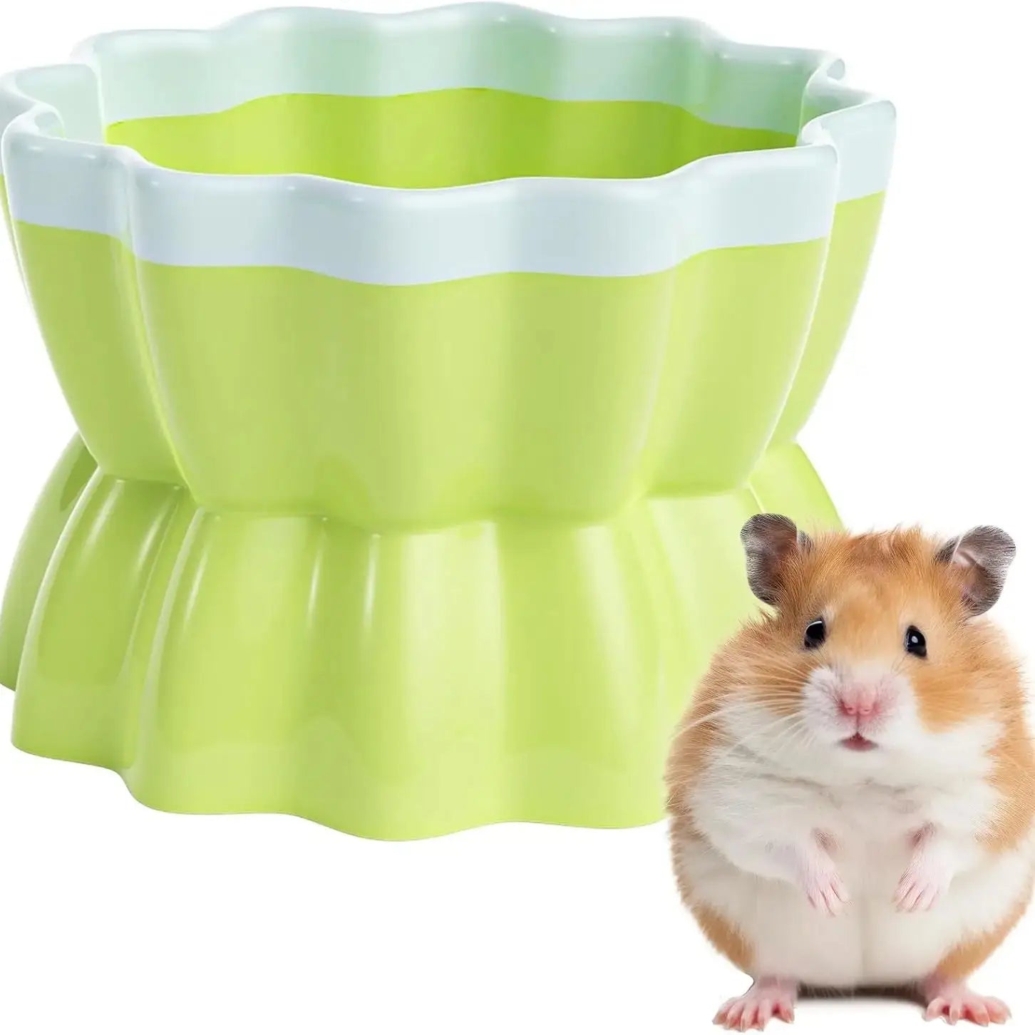 Anti-Tip Ceramic Pet Bowl for Guinea Pig/Rat/Hamster