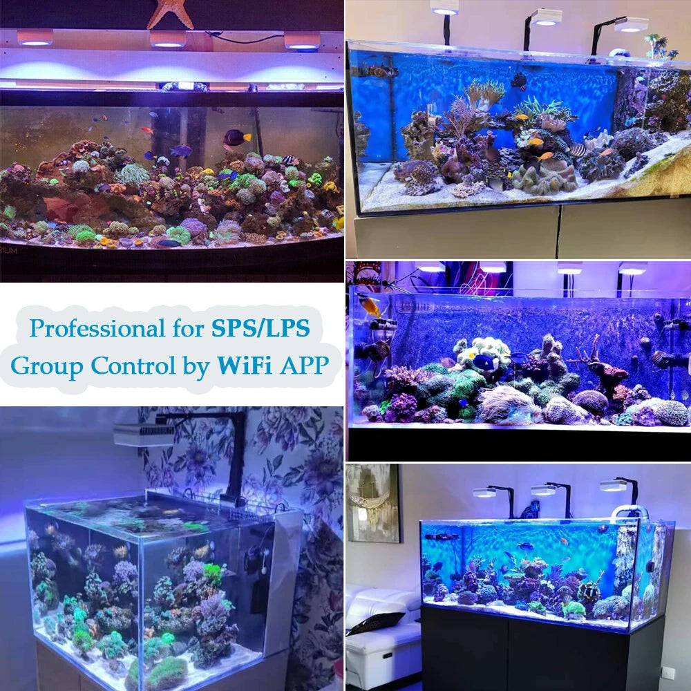 RL90 WiFi Aquarium LED Lighting 100W, Coral Reef Grow Aquarium Light for Saltwater SPS/LPS Marine Fish Tank