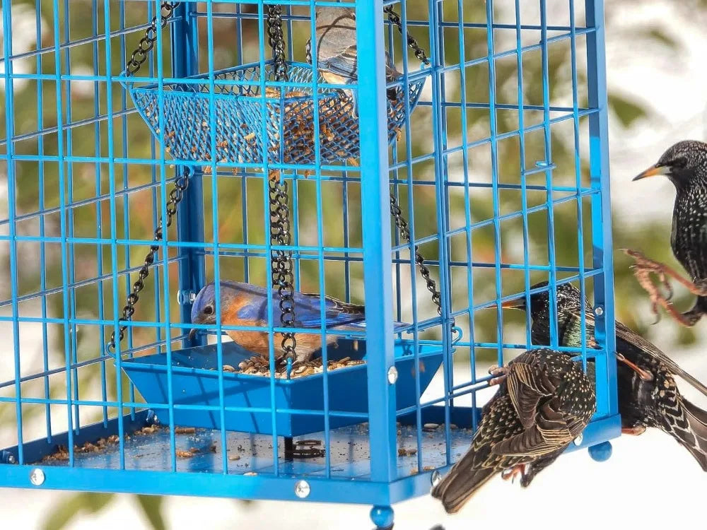 Squirrel-Proof Caged Bird Feeder with 2 Cups
