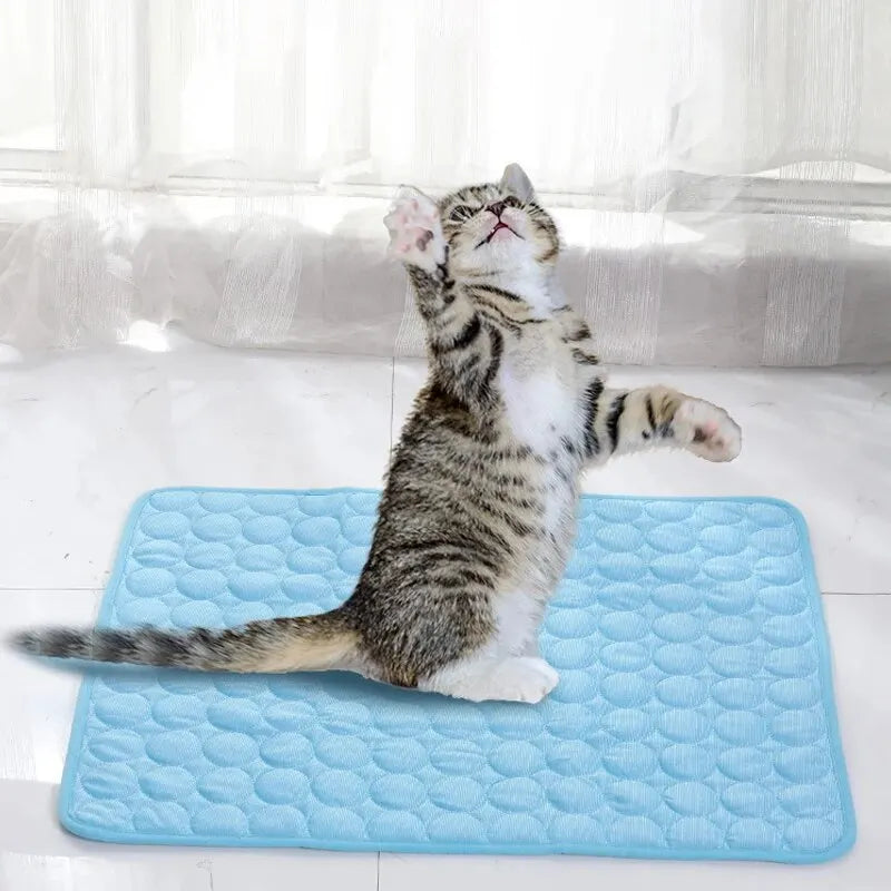 Ice Mats for Cooling Cat /Dog