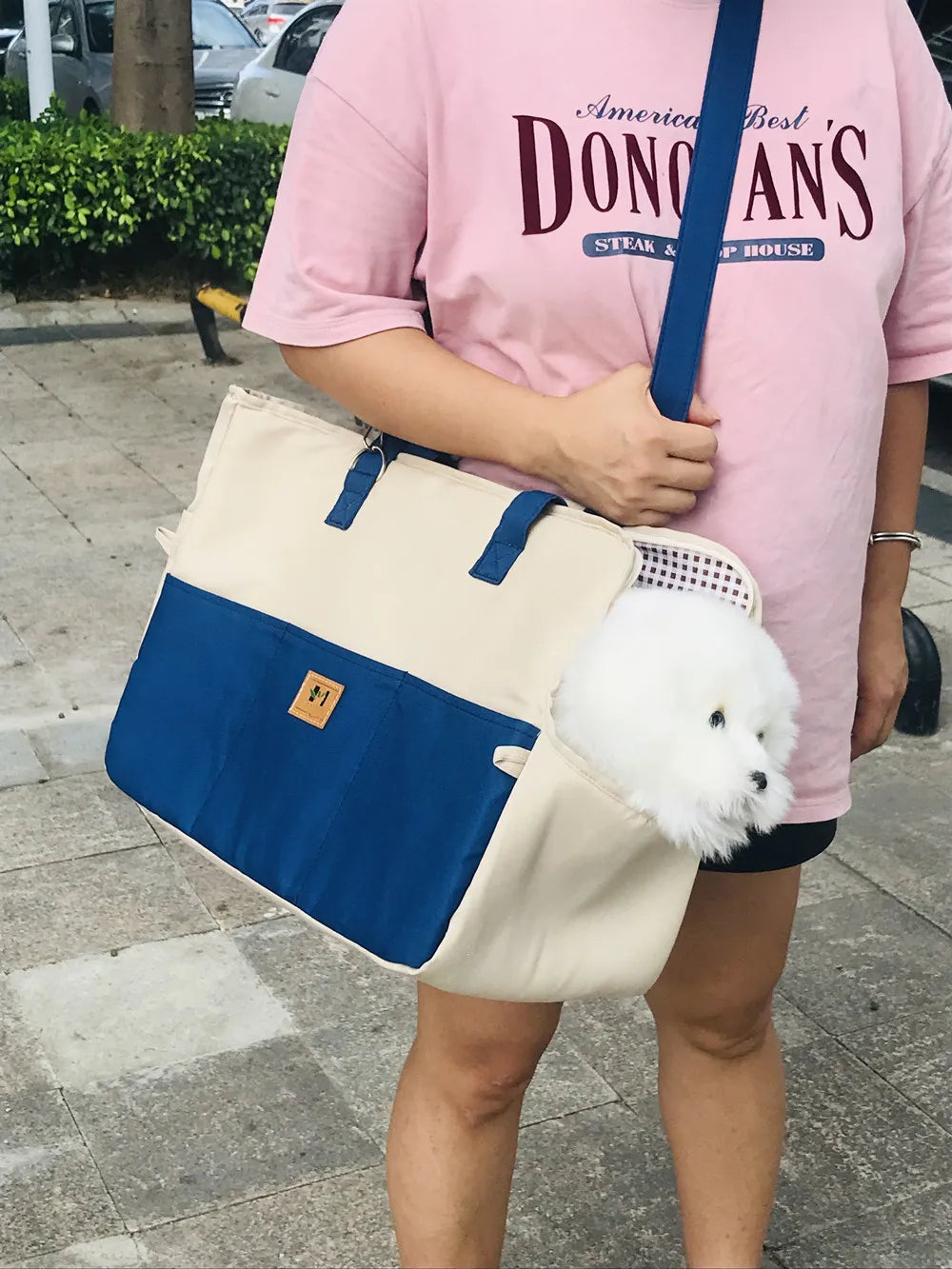 Portable Dog Cat Carrier and Outdoor Travel Bag