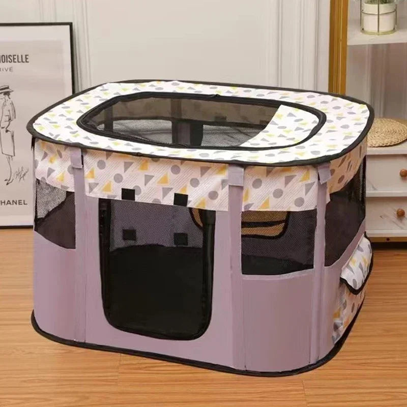 Cat Delivery Room - House