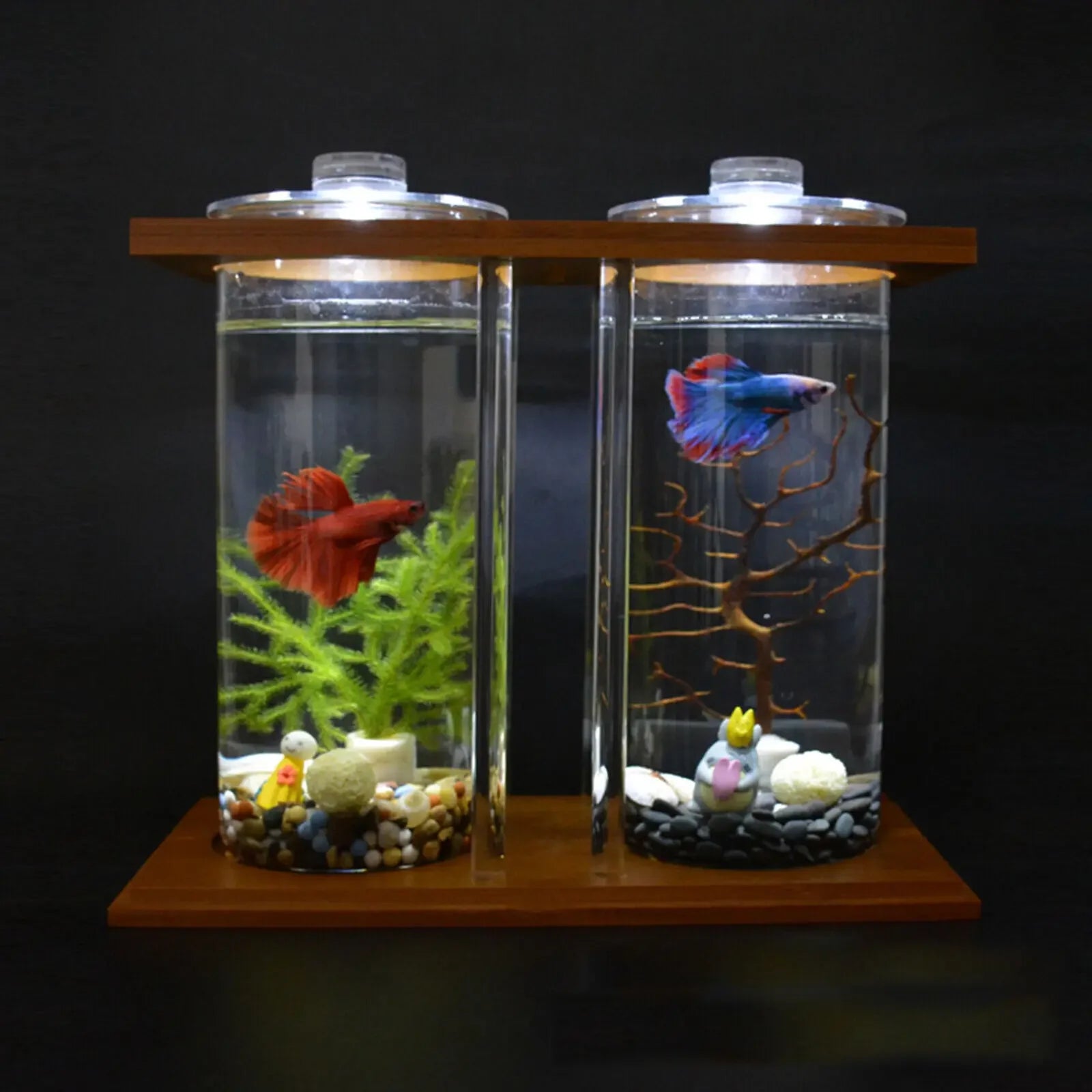 Aquarium Set with LED Light for Desktop Home Office Decoration 2 Tanks