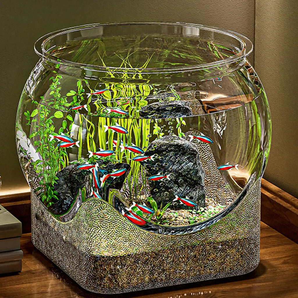 Clear Round Aquarium/Terrarium Container