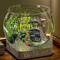 Clear Round Aquarium/Terrarium Container