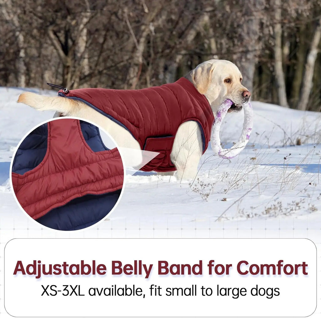 Outdoor Cold Proof  Dog Jacket with Fleece Cotton Lining